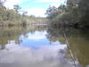 Collie River Redfin fishing